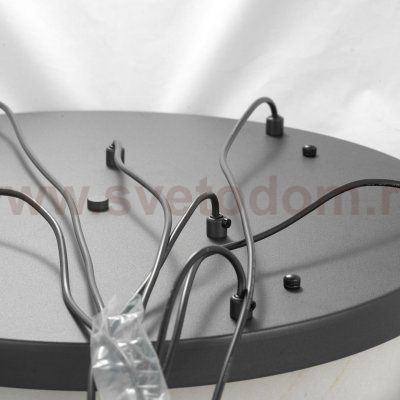 Подвесные светильники Lussole LSP-8506 Etowah