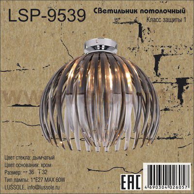 Потолочный светильник Lussole LSP-9539 HOCKESSIN