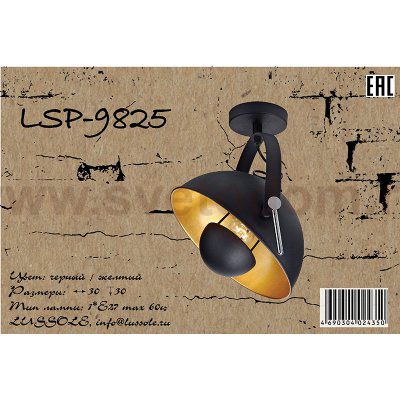 Светильник потолочный фара Lussole Loft LSP-9825