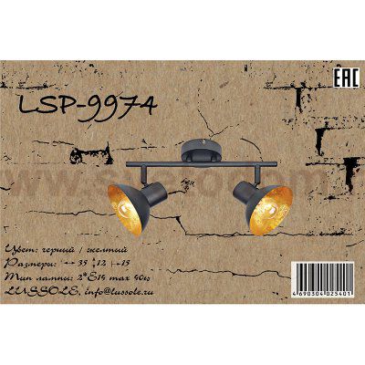 Светильник поворотный спот Lussole LSP-9974 LOUISVILLE