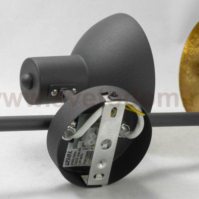 Светильник поворотный спот Lussole LSP-9975 LOUISVILLE