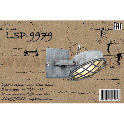 Светильник поворотный Lussole Loft LSP-9979