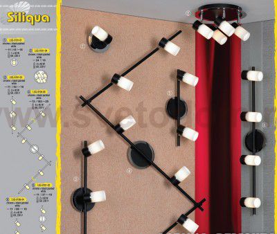 Светильник поворотный спот Lussole LSQ-6101-02 SILIQUA