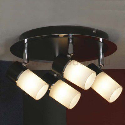 Люстра Lussole LSQ-6101-04 SILIQUA