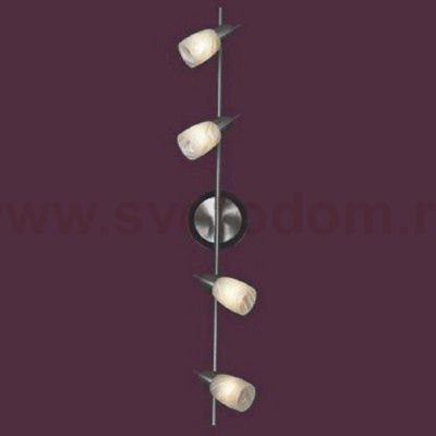 Светильник поворотный спот Lussole LSQ-6909-04 CEVEDALE