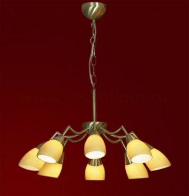 Люстра Lussole LSQ-8213-08 Fiora