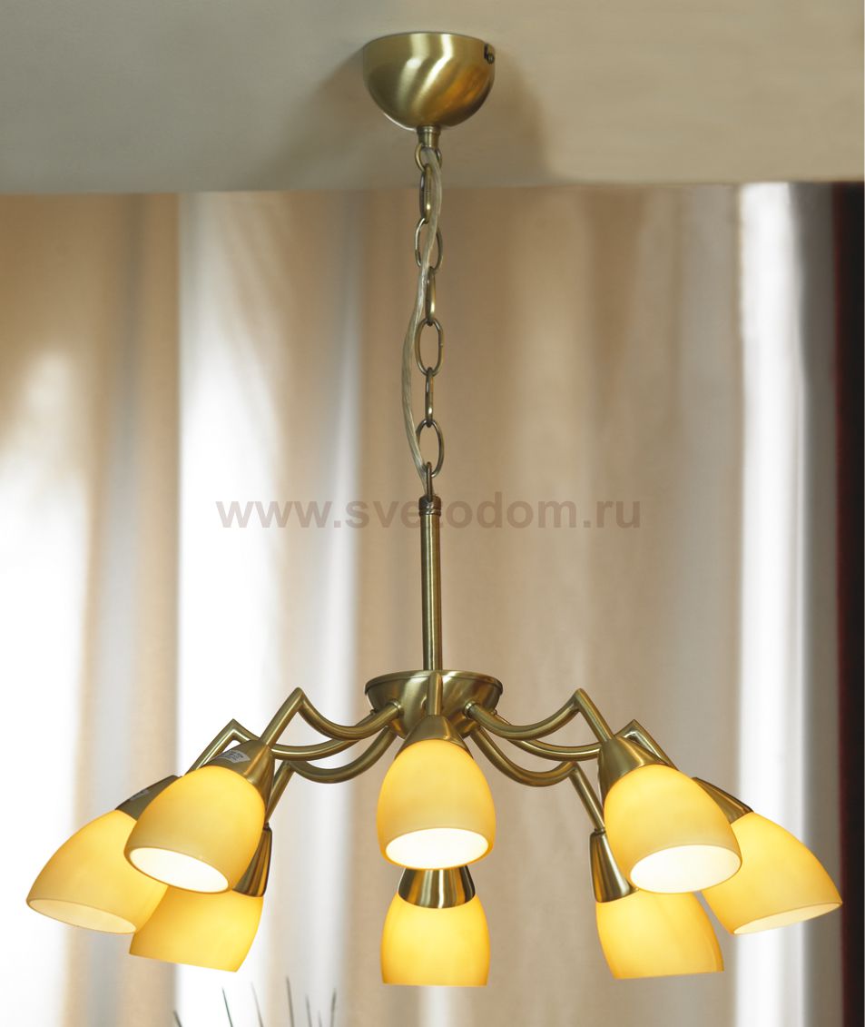 Люстра Lussole LSQ-8213-08 Fiora