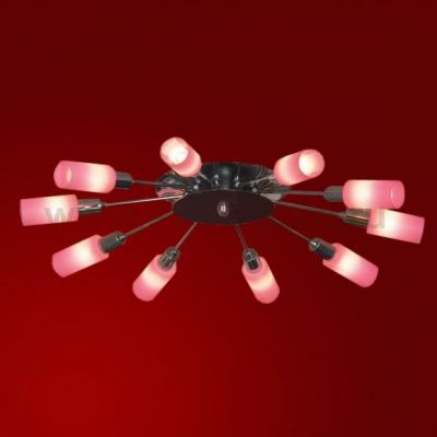 Люстра Lussole LSQ-8707-10 Tolmezzo