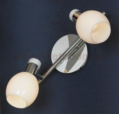 Светильник поворотный спот Lussole LSX-5001-02 PARMA