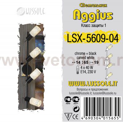 Светильник поворотный спот Lussole LSX-5609-04 Aggius