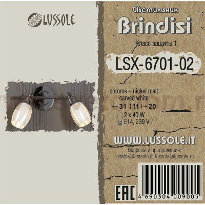 Светильник поворотный спот Lussole LSX-6701-02 BRINDISI