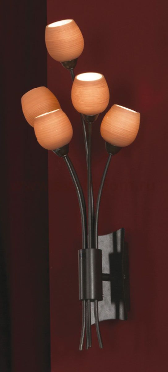 Светильник Lussole LSA-3001-05 