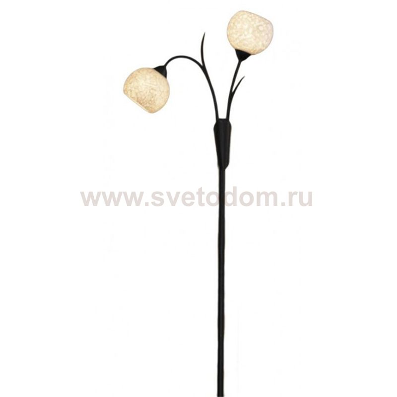 Торшер напольный Lussole LSF-6295-02 BAGHERIA