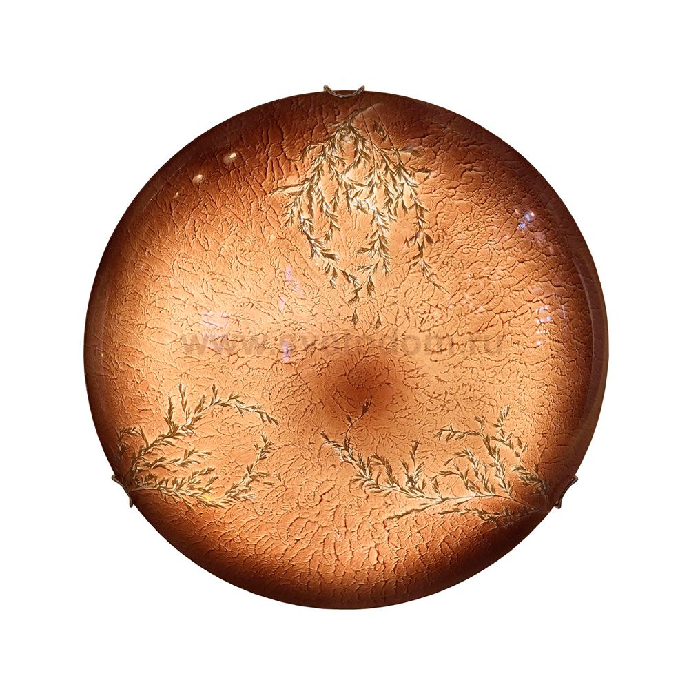 Светильник потолочный Lussole Lsn-0902-01