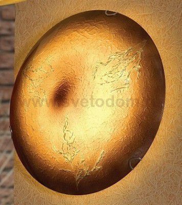 Светильник потолочный Lussole Lsn-0912-01