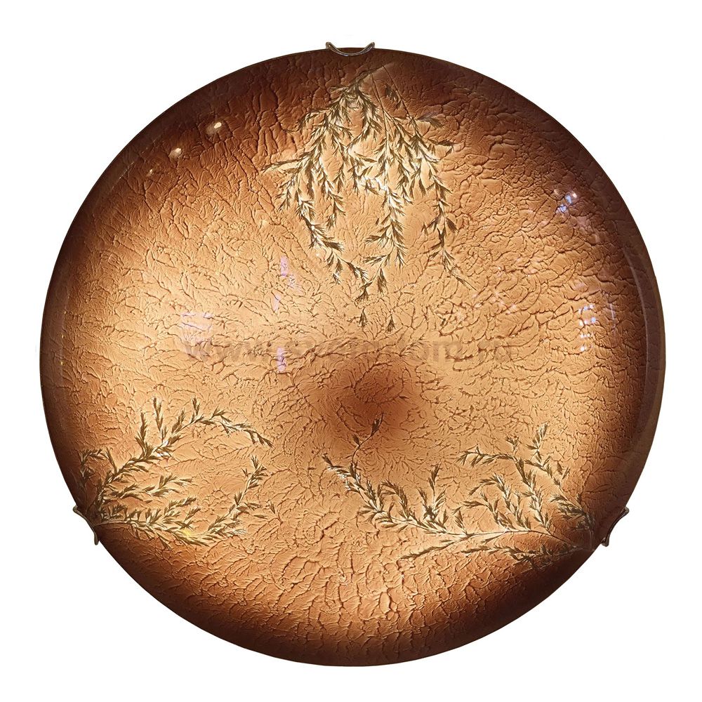 Светильник потолочный Lussole Lsn-0912-01