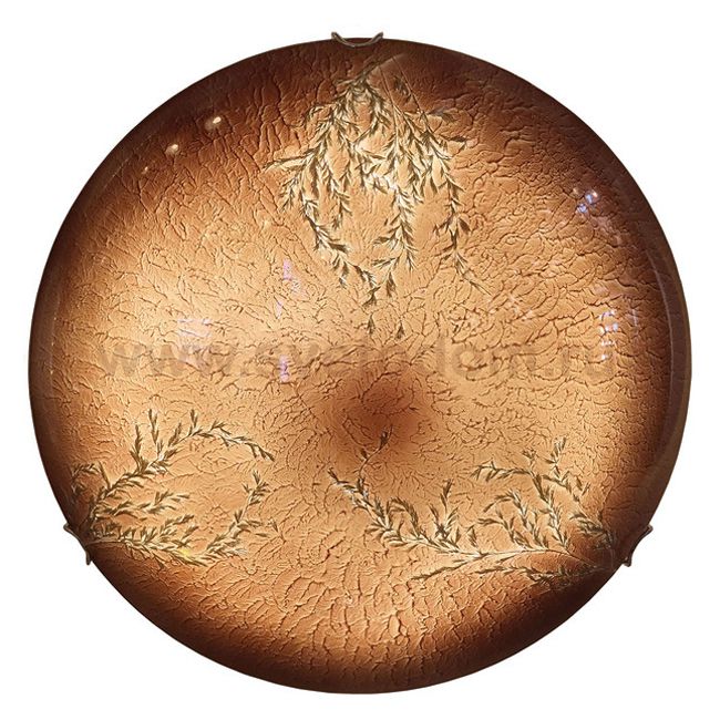 Светильник потолочный Lussole Lsn-0922-01