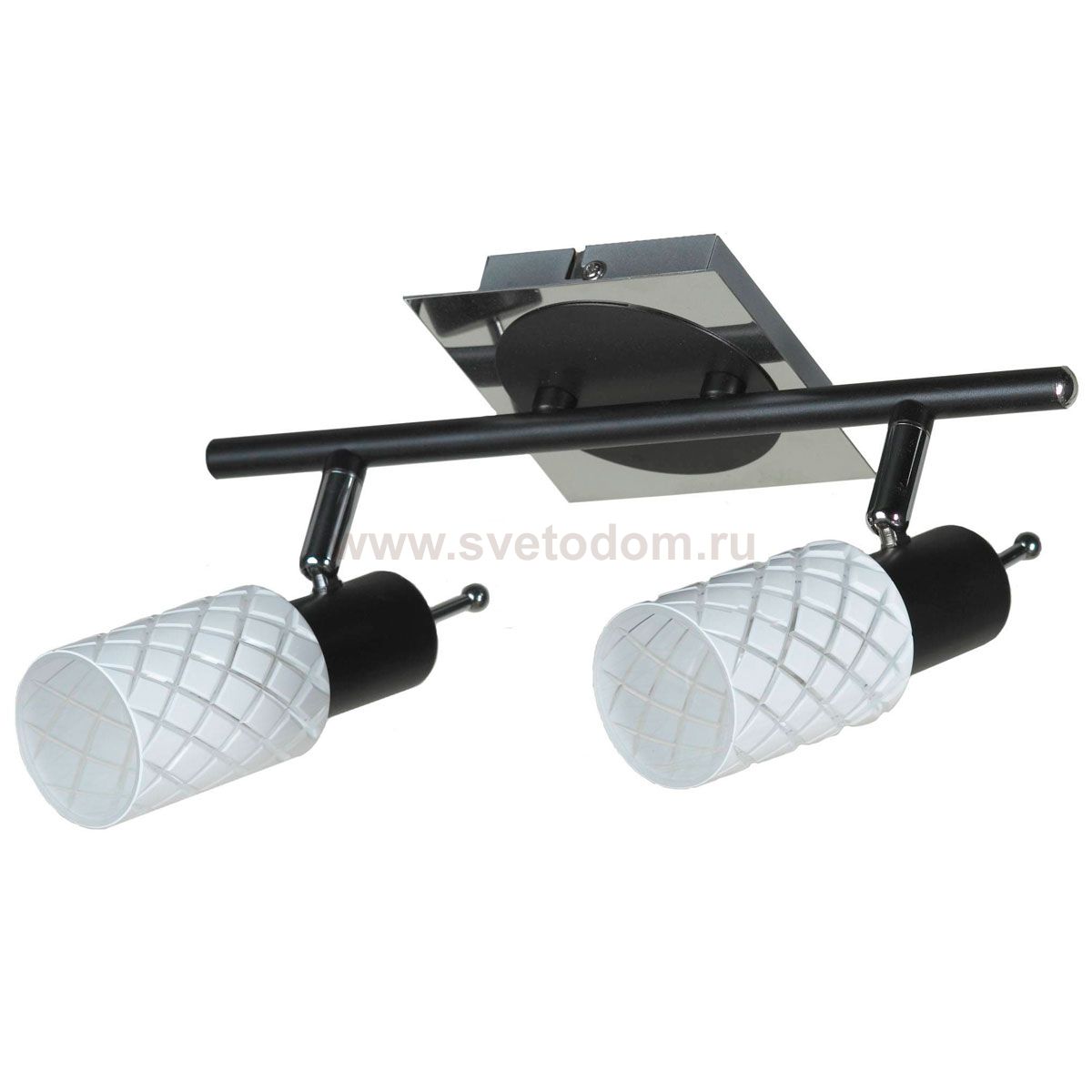 Светильник поворотный спот Lussole LSX-5601-02 Aggius