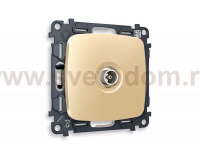 Комплект механизма TV розетки проходной OMEGA MO613030 Шампань 5-1000 MHz 4dB QUANT Ambrella Volt
