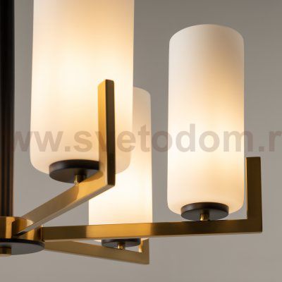 Люстра Maytoni MOD089PL-06BS Fortano