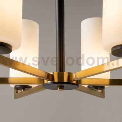 Люстра Maytoni MOD089PL-06BS Fortano