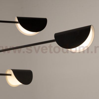 Люстра Maytoni MOD126PL-08B Mollis