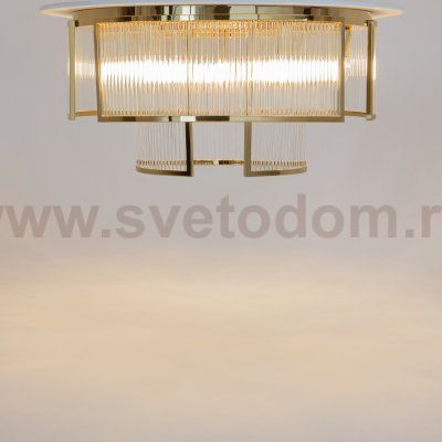 Потолочный светильник Maytoni MOD174CL-09G Frame