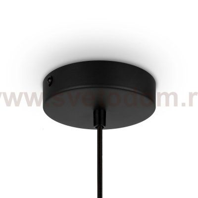 Подвесной светильник Maytoni MOD193PL-01W Roots