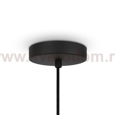 Подвесной светильник Maytoni MOD197PL-01W2 Roots