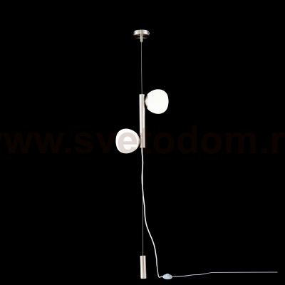 Подвесной торшер Maytoni MOD221FL-01N