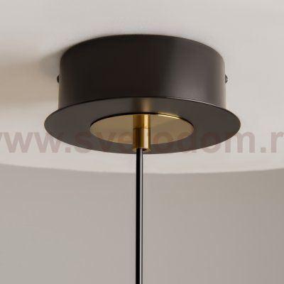 Подвесной светильник Maytoni MOD348PL-L14BBS3K Dress code