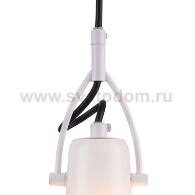 Подвес Maytoni MOD407-PL-01-W Daniel