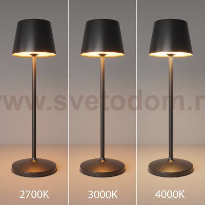 Аккумуляторный светильник Maytoni MOD494RL-L1BK