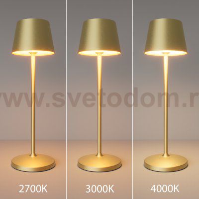 Аккумуляторный светильник Maytoni MOD494RL-L1BSK