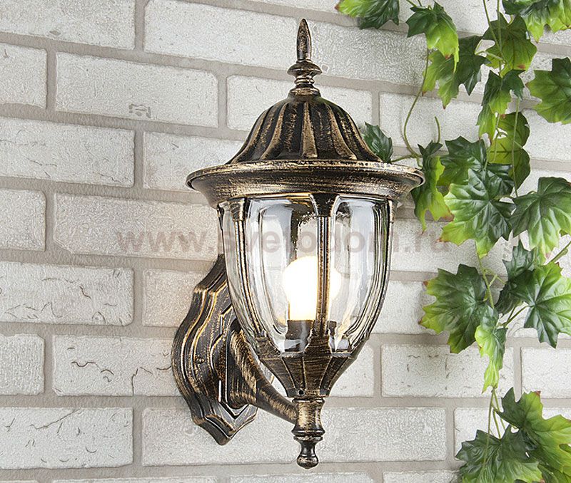 Светильник Elektrostandard NLG9909-С черное золото