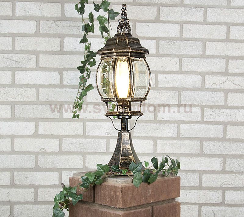 Светильник Elektrostandard NLG9913-D черное золото