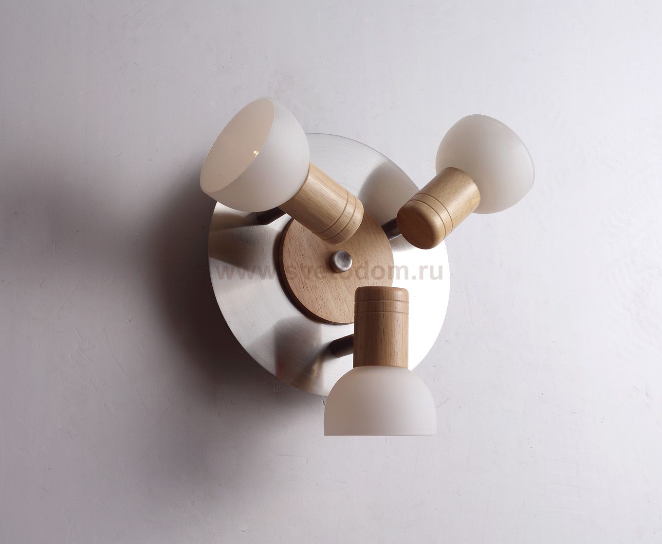 Настенно-Потолочный светильник Lucia Tucci Natura W089.3R