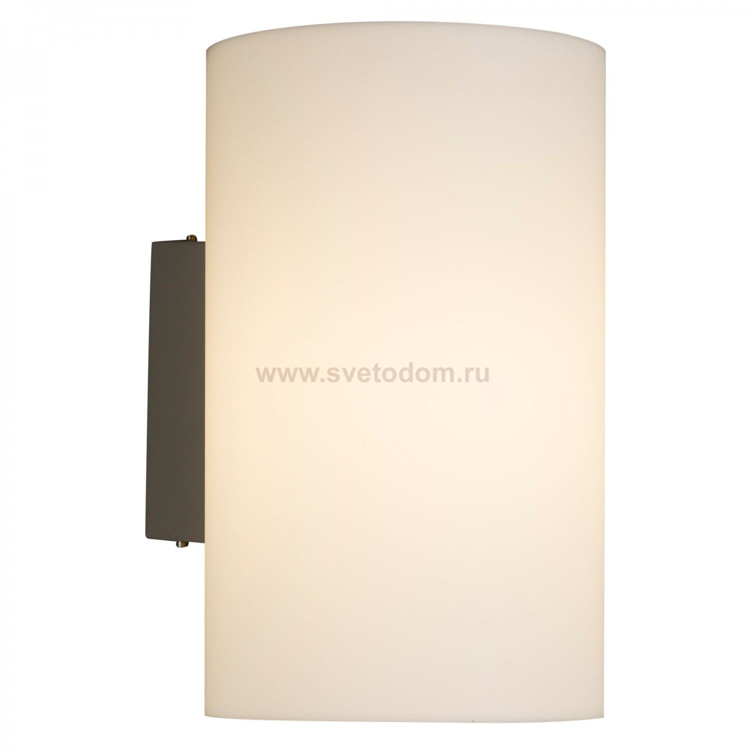 Бра Maytoni O008WL-01S Camden