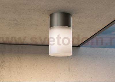 Потолочный светильник Outdoor O418CL-01B