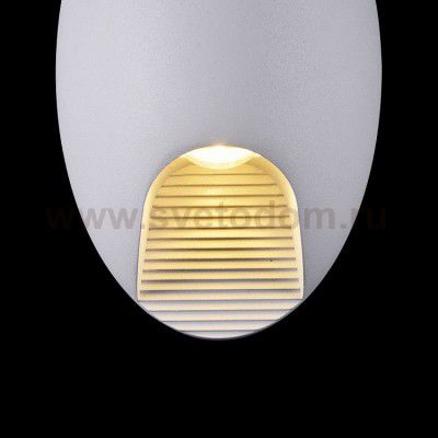 Светильник настенный уличный Maytoni O594WL-L6W