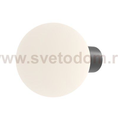 Настенный светильник (бра) Maytoni O598WL-01B1 Bold