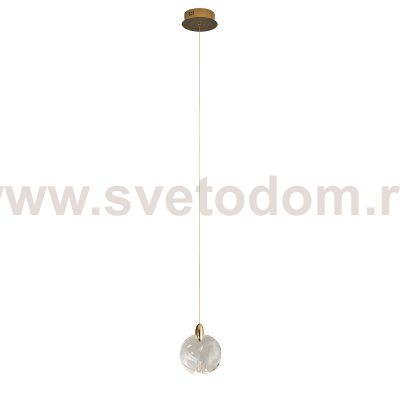 Подвесной светильник OD2440-1 gold/clear