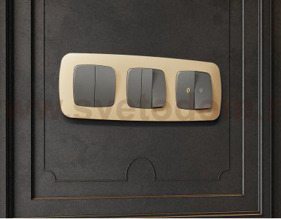 Рамка OMEGA Ecta (Шампань) 4-ая OF140604 Ambrella Volt