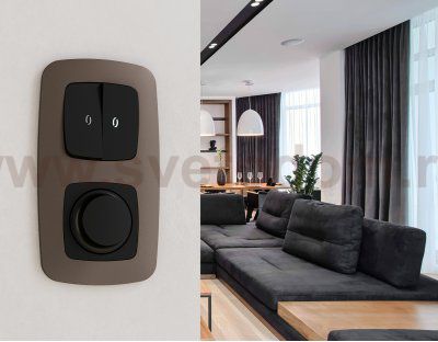 Рамка OMEGA Ecta (Темная бронза матовый) 2-ая OF140632 Ambrella Volt