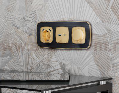 Рамка OMEGA Coint (Черный Стекло органическое/Шампань) 2-ая OF640542 Ambrella Volt