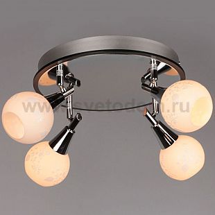 Спот Omnilux OML-21501-04 Leiston