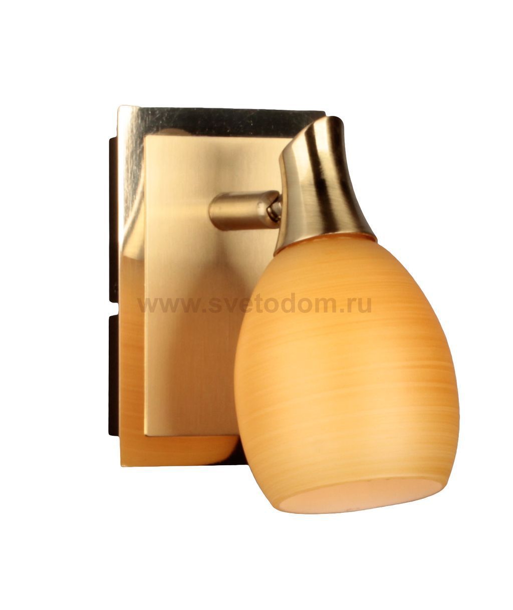 Светильник поворотный спот Omnilux OML-21701-01 Clemence