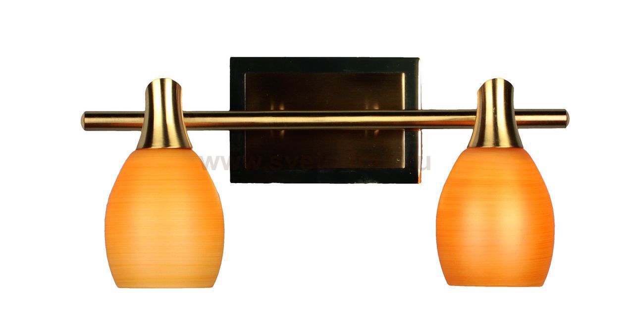 Светильник поворотный спот Omnilux OML-21701-02 Clemence