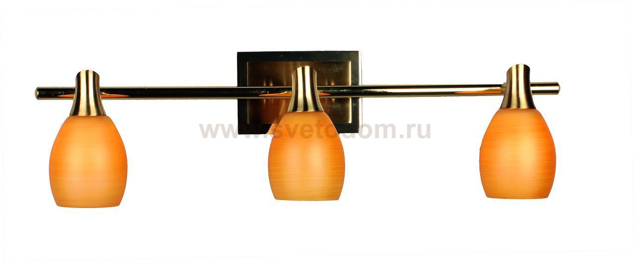 Светильник поворотный спот Omnilux OML-21701-03 Clemence