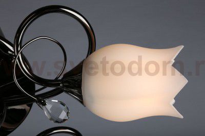 Люстра потолочная Omnilux OML-39707-05 Armagnac